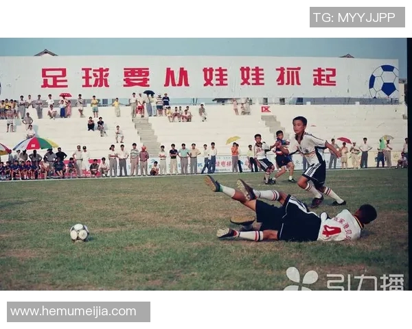 猪年出生的足球明星们的辉煌成就与传奇故事揭秘