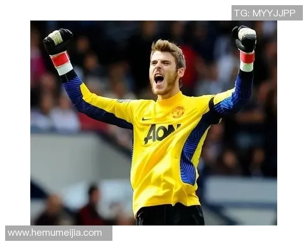 瑞典国家队足球明星的辉煌历程与未来展望